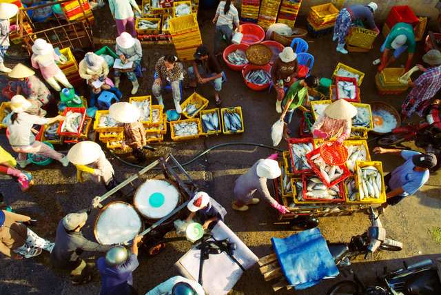 Nha Trang Fish Market II