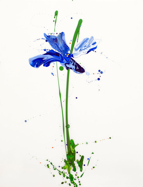 Flora XIII