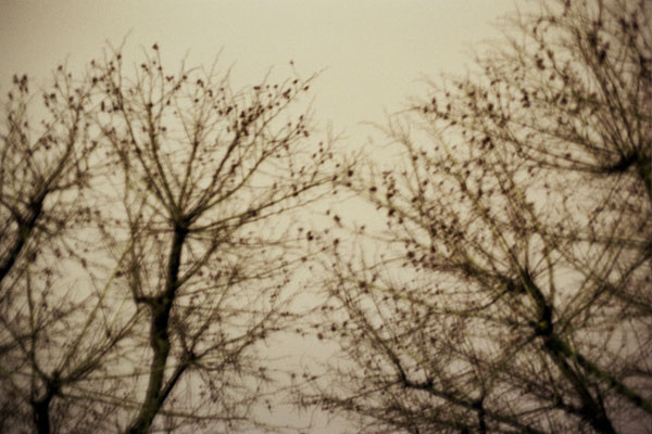 Reaching Out, Arles, France, 2010