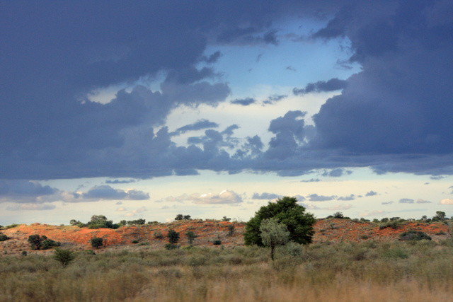 Kgalagadi Transfrontier National Park (SA)