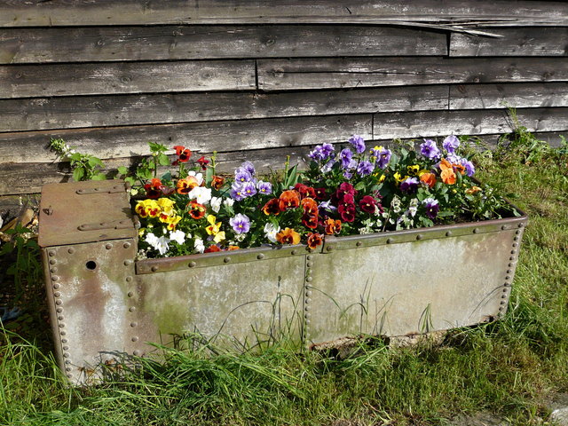 Flower tubs at Weathampstead (5) VB.JPG