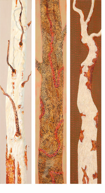 TREE PORTRAITS IN SPINIFEX COUNTRY