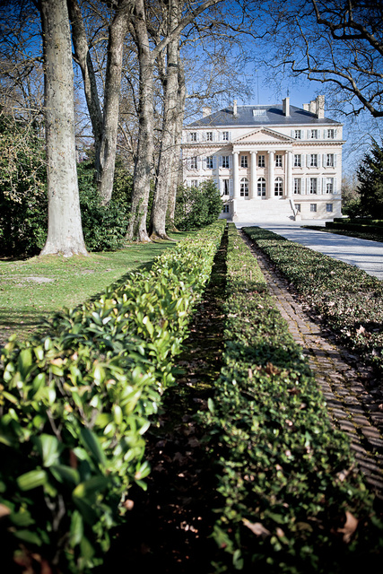 Margaux76 © Laurent Gazal.jpg