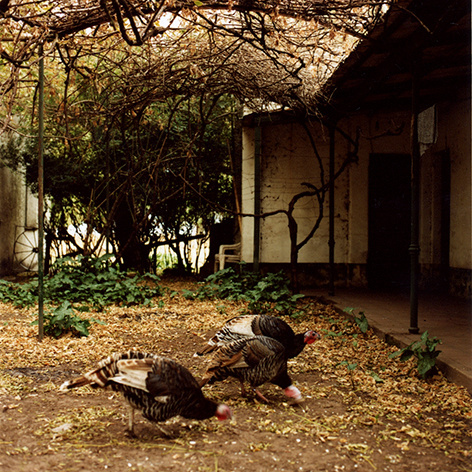 Soledad Manrique.jpg