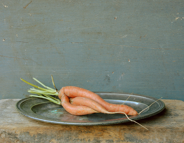 Carrots, Entwined, c 2007