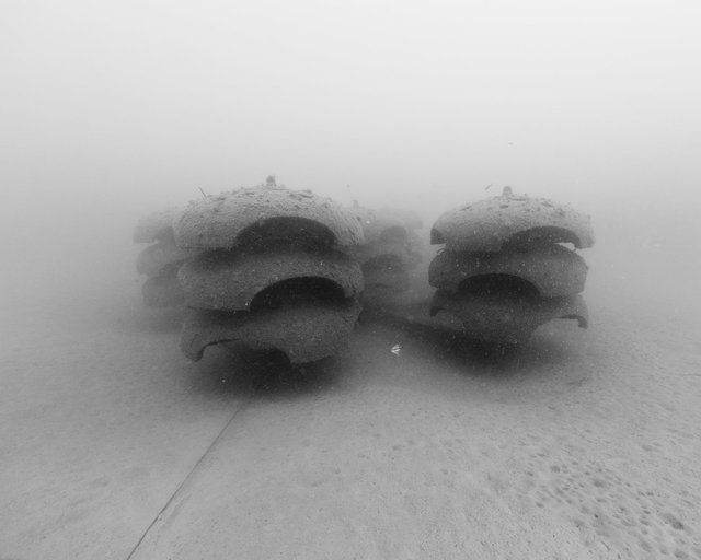 Productive Structure, Artificial Reef P2A, -10m, Cagnes-sur-Mer 2014
