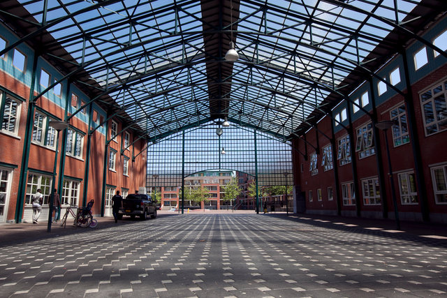 NL_TheHague_Thijssestraat_2012_RS-9.jpg