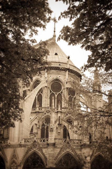 Notre-Dame de Paris II