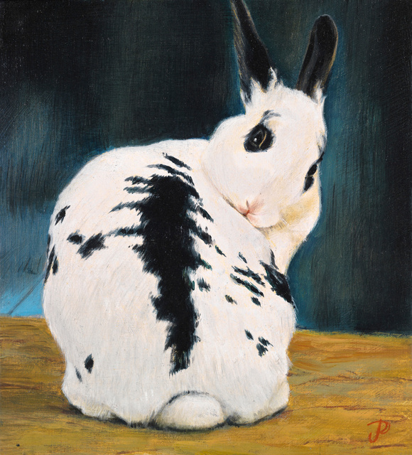 Breed: Rescue / "Riley"