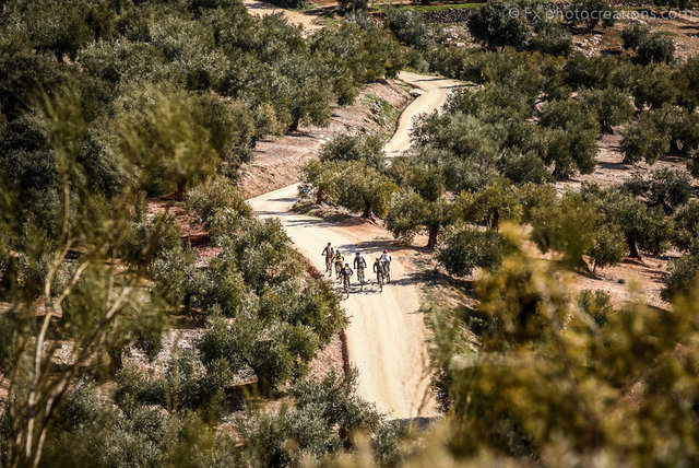 Andalucia06418.jpg