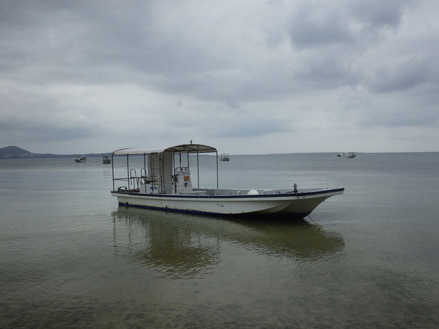 IMGP0802.JPG