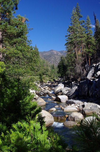 Kings Canyon National Park (11) VB.JPG