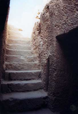 Stairway by Alison Gracie