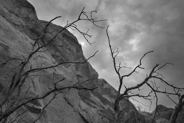 colorado-springs-landscape-black-and-white032.jpg