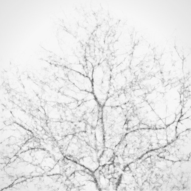 Trees 06