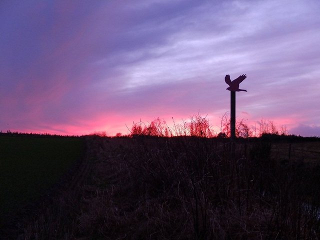 To the Red Kite Centre by Alison Gracie