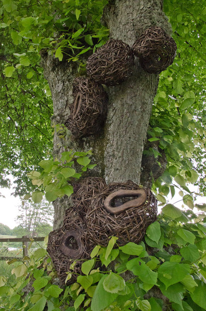 Installation from wood and rattan on the trees of the alley in Nääs, Sweden. 2015
