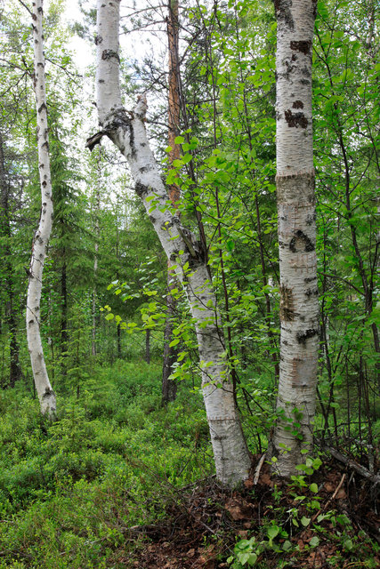 _MG_5687.jpg