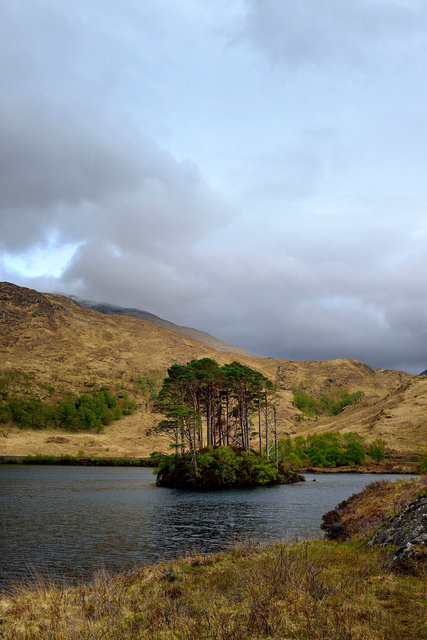 Sur la route de Mallaig