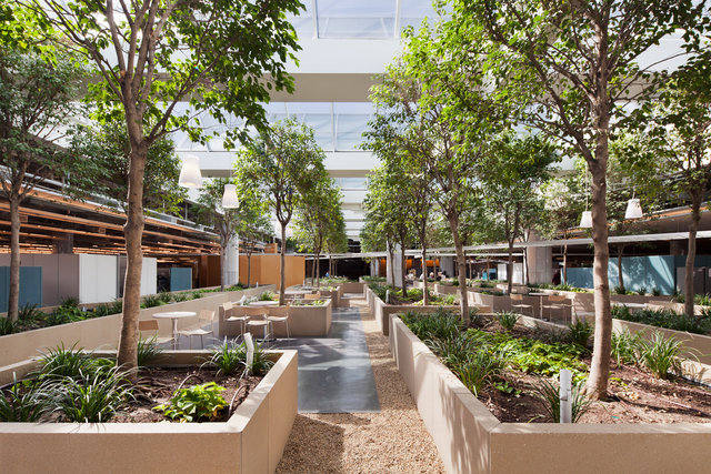 GSA Federal Building by Jonathan Levi Architects