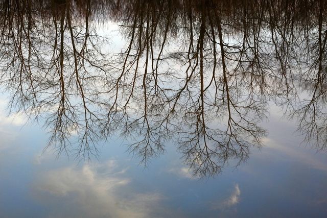 Reflection, Ohio