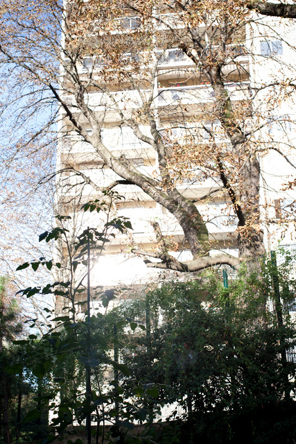 _MG_0800.jpg