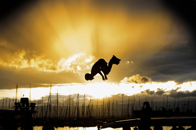 Roller Contest - 2014