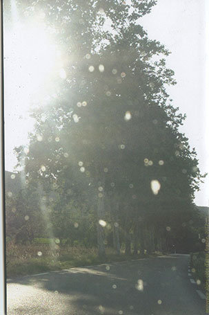 Souvenir (back cover)