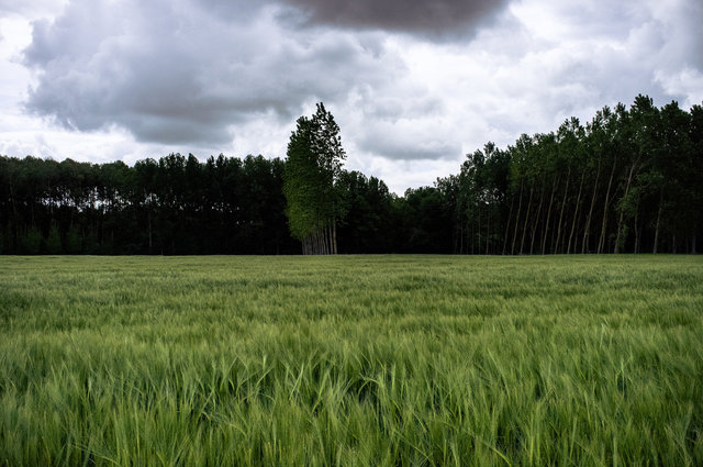 dw-20130523-168-30.jpg