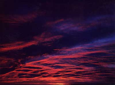Violet Sunrise 6 by Alison Gracie