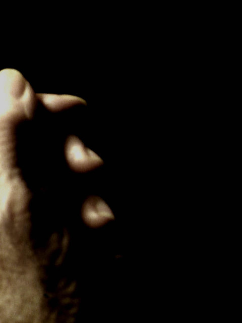 Nan Hoover Gestures No.6 2008