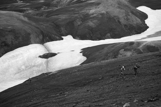 L1012547gs_1500px.jpg