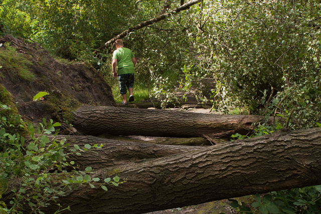 Stormschade 2010