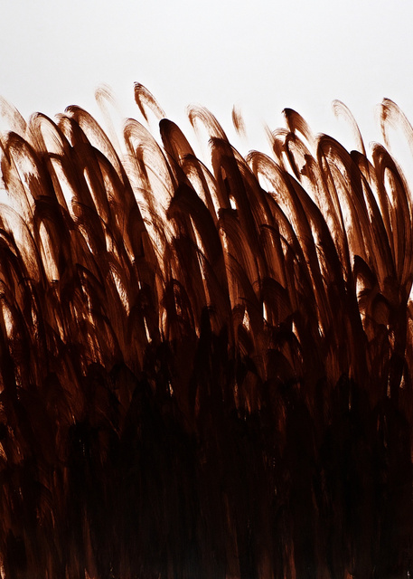 Black and Umber # 1, 2011.