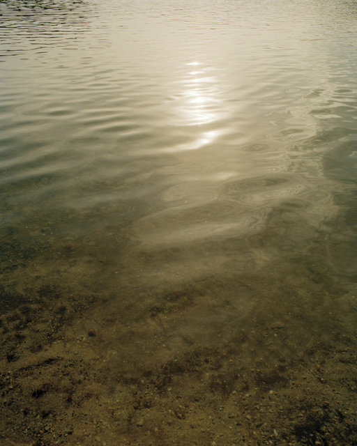 Walden Pond, Concord, MA, 2015
