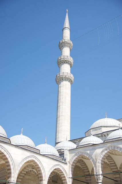 AMF_0042.jpg