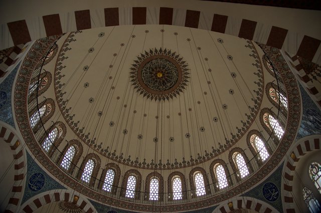 AMF_9732.jpg