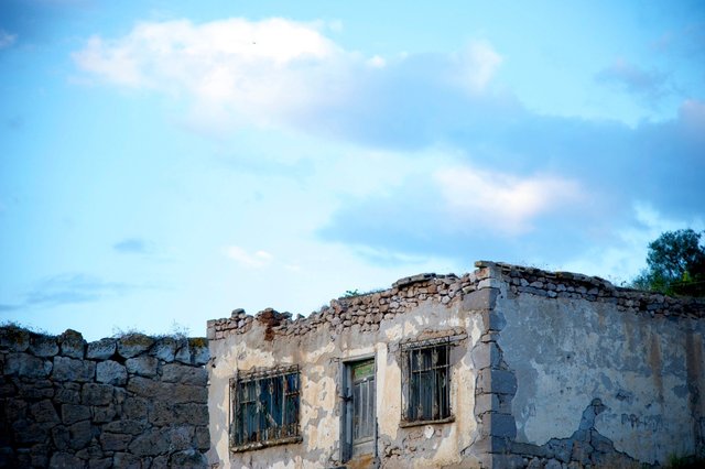 AMF_2774.jpg