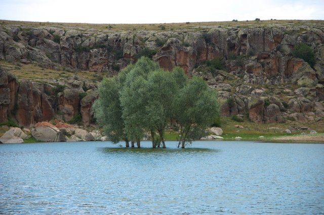 AMF_4934.jpg