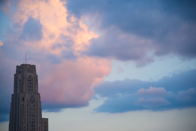 AMF_2740.jpg