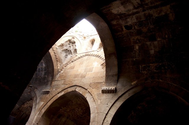AMF_2383.jpg