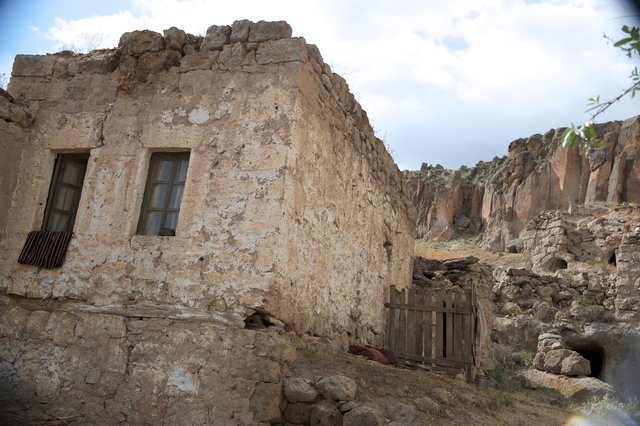 AMF_6476.jpg