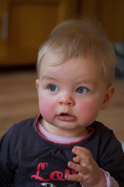 Fenna 22dec12-20.jpg