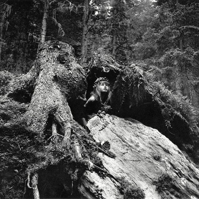 Untitled from the series Droom in het Woud © Ata Kandó