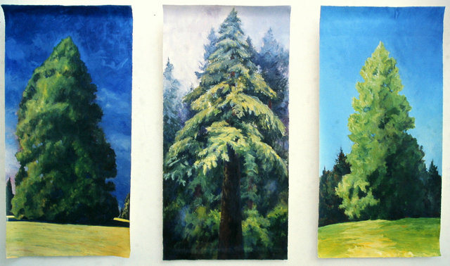 Tree Portraits, Installation