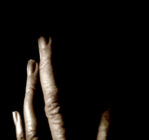 Nan Hoover Gestures No.5 2008
