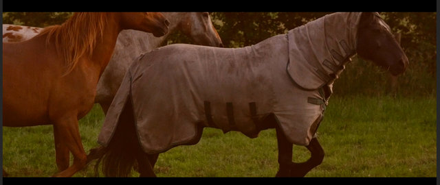 Screen Shot 2015-07-01 at 13.45.31.png