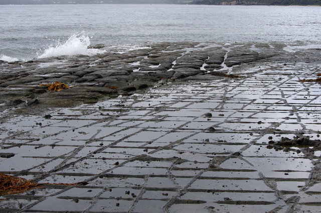 Tessellated Pavement Forestier Peninsula (19) VB.JPG