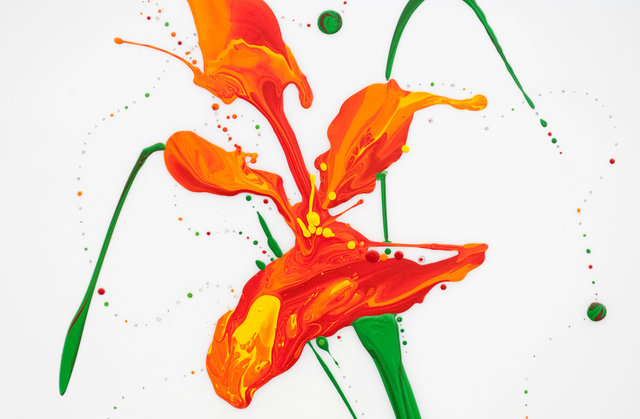 Flora XIV