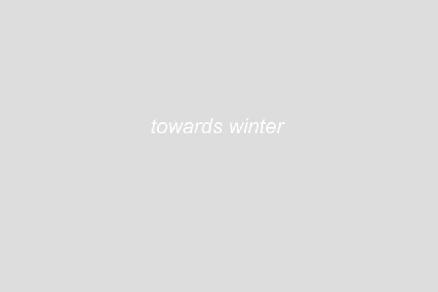 Untitled-1.jpg